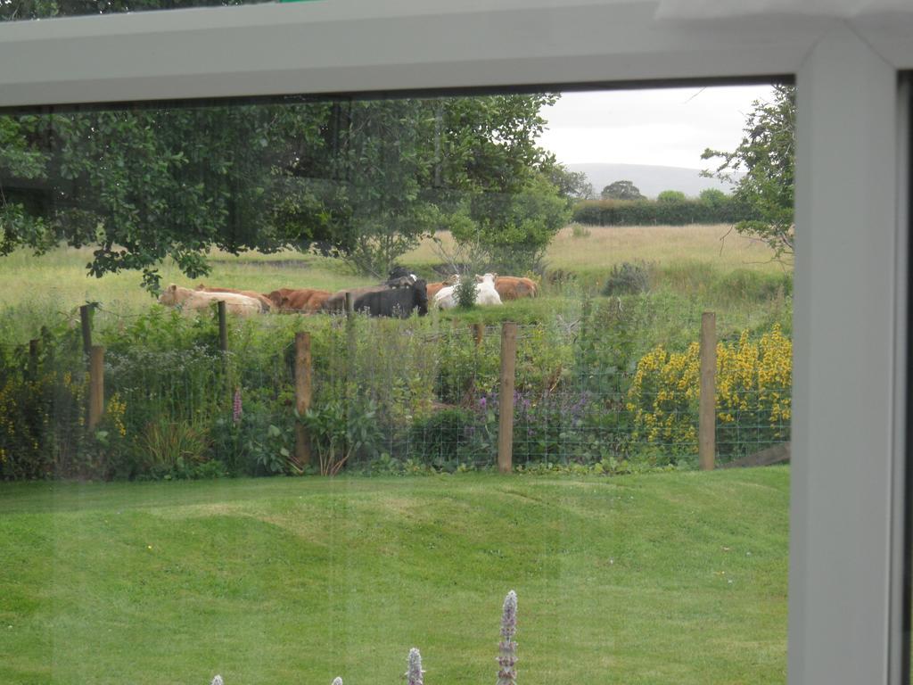 Troutbeck Cottage Carlisle  Ruang foto